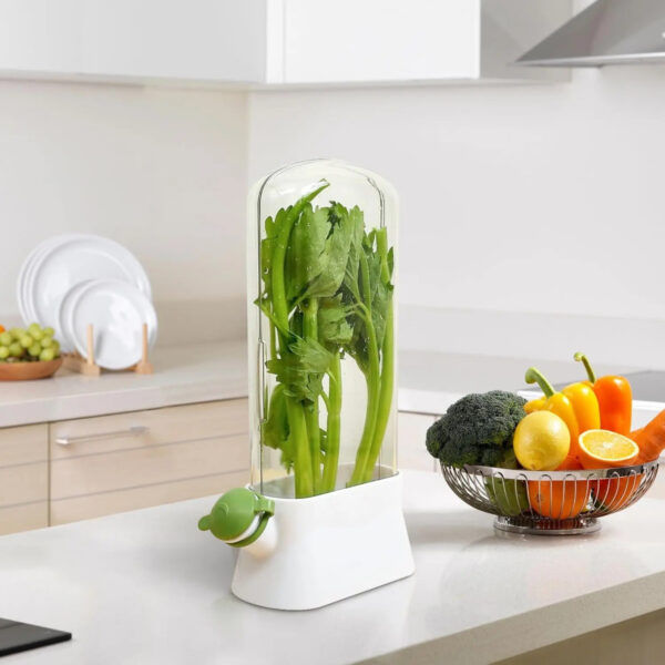 Recipiente Conservador de Vegetales Gr